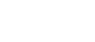 kinglogo